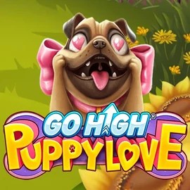 Go High Puppy Love casino game by RubyPlay – featured logo at Lyra Bet Casino