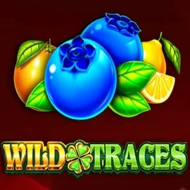 Play Wild Traces slot by Amusnet Interactive on lyrabet.info
