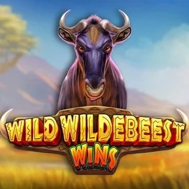 Play the Wild Wildebeest Wins slot by Pragmatic Play on Lyra Bet Casino
